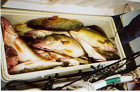 Spring Jig Fishing on Lake Erie